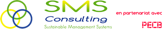 sms consulting